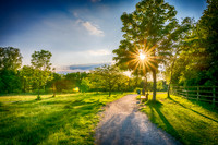 Nature